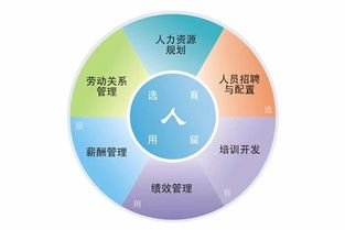 深圳辦理人力資源服務許可證全指南 條件、部門與流程